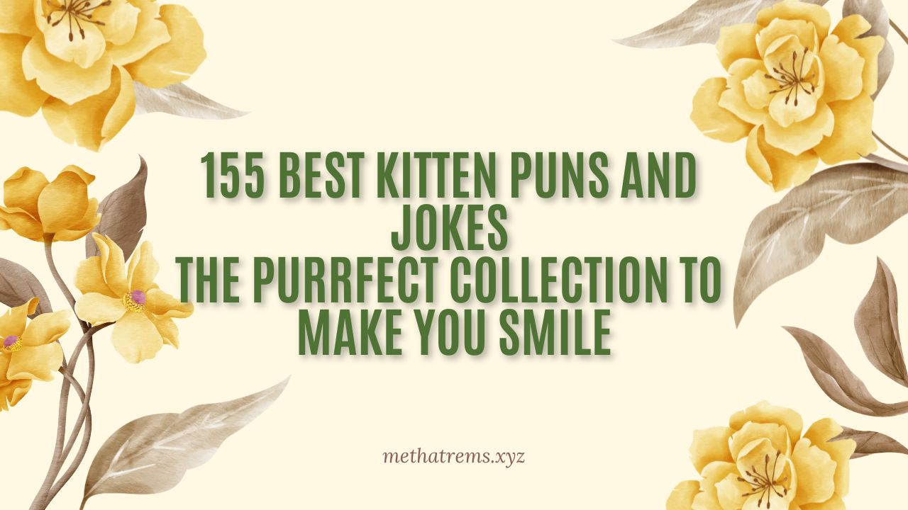 155 Best Kitten Puns and Jokes The Purrfect Collection to Make You Smile